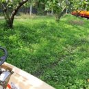 노화농장 이미지