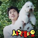 TMA 당첨 메세지가 왔어요 이미지