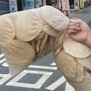 방배로16길 16-10 이미지