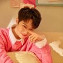 최** 이미지
