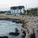 월령리(월령포구) 이미지