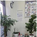 천사공인중개사사무소 이미지