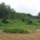 푸르뫼농장 이미지