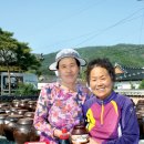 강진된장 영농조합법인 이미지