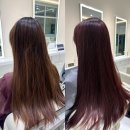 블랙헤어 | 원주 무실동 미용실 로움 헤어 블랙 커런트 염색 후기