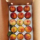 신선농원 이미지