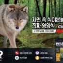 행복한강아지 이미지