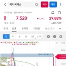사조동아원(주) 함평공장 | 상한가, 거래량 천만주 이상 종목 24년 10월 15일...대명소노시즌, 미래생명자원, 엑스게이트, 사조동아원