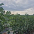 미암농장 이미지