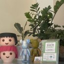 요고 프로즌요거트(yogo frozen yogurt) | [용인 죽전 카페] 요고프로즌요거트 yogo Frozen Yogurt (요거트 플레인 아이스크림+토핑 추가😆)