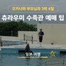 늘푸른할인마트 | 오키나와 부모님 여행 3박4일 코스 츄라우미 수족관 할인 예매 팁