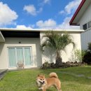 조천스테이 이미지