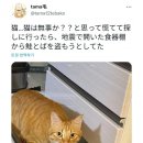 안*남 이미지