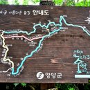 윗대티 등산로 이미지