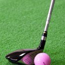 노블리스 골프아카데미 이미지