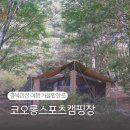 애니몰하우스 | 충북 괴산 여행 가볼만한곳 코오롱스포츠캠핑장 1박2일 후기