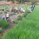 홍보농장 이미지