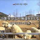 둥이목장 네이버블로그