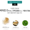 초록비타민 | 호주 지엘엠 37500 초록입홍합&amp;비타민 D 365