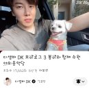가수님 &amp; 봄이🐶 이미지