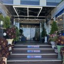 대성장횟집 이미지