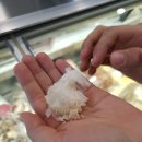 한스와그레텔