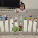 호텔38.5℃ | 8개월 아기 코로나 확진 후기 (270일)｜고열·코막힘 증상 타임라인 정리