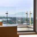 테리하우스 이미지