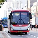 동진강변공원 이미지