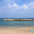 덕신해수욕장 이미지