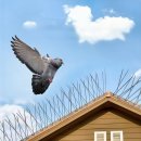 엘제이비 이미지