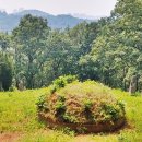 김류선생묘역 이미지