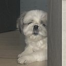 디자인모에 이미지