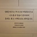 양양 설해원 | 평화로운 곳에서 온천 힐링