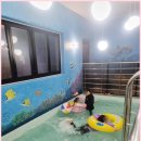 풀 스테이 햅번 이미지