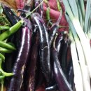 정성야채 이미지