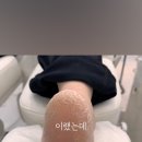 레푸스&아트포레 이미지