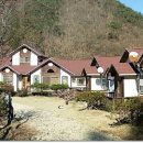 라스텔라편백숲 이미지