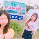 바투호프 | 급출발 강릉 여행 1박2일 코스