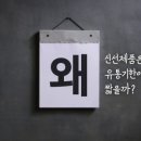 제주맘 - 제주시 신산로11길 6 | 제주맘