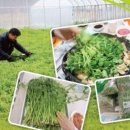 초록농부 영농조합법인 이미지