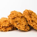 제주흑돼지백돼지 이미지