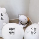 [공지] [대학생 대외활동] AI DT 예비교원 역량 강화 교육 후기ㅣ 지도안 공개 ㅣ 지도안 꿀팁 ㅣPBL l...