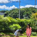 김해시 자원순환시설(폐기물소각시설) | 나는 30년을 넘게 김해에 살았다.(feat.김해시 한림면 의료폐기물 소각 설치 반대)