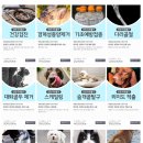 펫홈종합동물병원 이미지