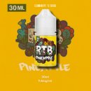 파인애플세탁소 이미지