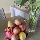 신동테니스장 | [나트랑 EP.7] 나트랑 미아리조트 풀빌라 숙소 후기 (+수영장/조식/바베큐/마사지/테니스장)