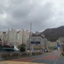 덕진 거제의봄 프리미엄 이미지