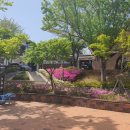 내삼어린이공원 이미지