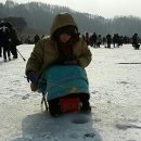 송어축제 이미지